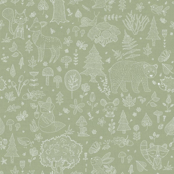 Galerie Wallpaper Product code: 14805 - Little Explorers 2 Wallpaper Collection - Green Colours -  