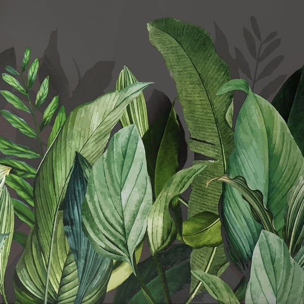 Galerie Wallpaper Product code: 18002 - Tropical Wallpaper Collection - Blackberry Colours -  