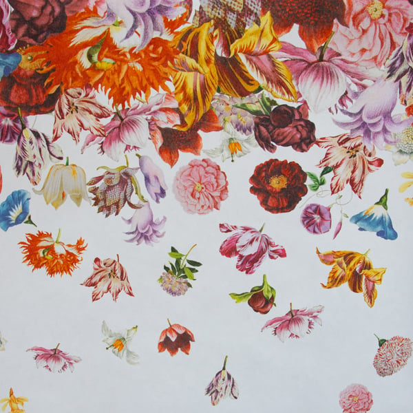 Galerie Wallpaper Product code: 18003 - Tropical Wallpaper Collection - Coconut Colours -  