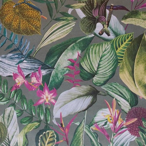 Galerie Wallpaper Product code: 26739 - Tropical Wallpaper Collection - Watermelon Colours -  