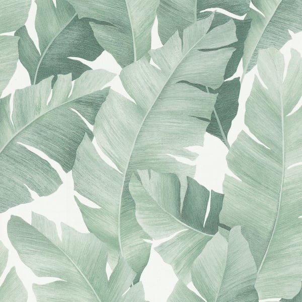 Galerie Wallpaper Product code: 31650 - The New Design Book Wallpaper Collection - white green Colours -  