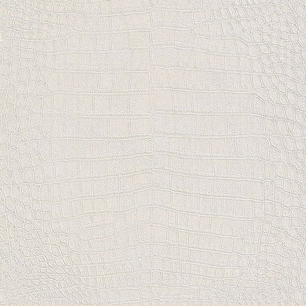 Galerie Wallpaper Product code: 474169 - African Queen 2 Wallpaper Collection -   