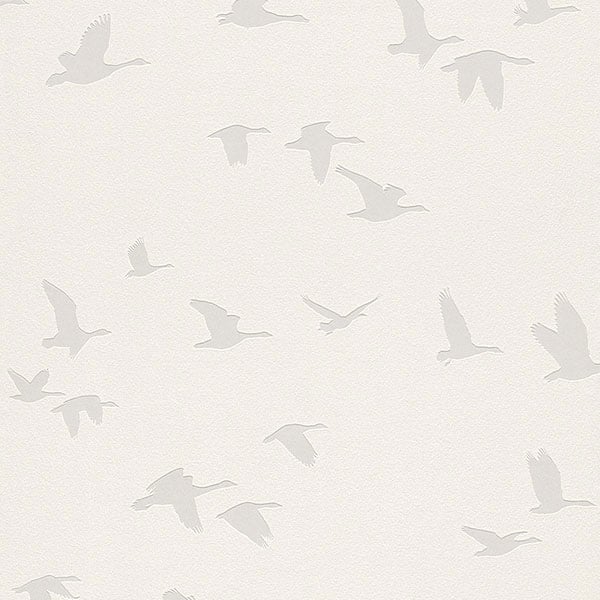 Galerie Wallpaper Product code: 503340 - Kids and Teens 2 Wallpaper Collection -   