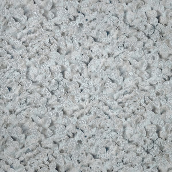 Galerie Wallpaper Product code: 65305 - Salt Wallpaper Collection - Poppy Seed Colours -  