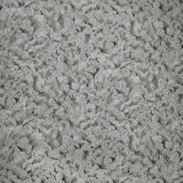 Galerie Wallpaper Product code: 65309 - Salt Wallpaper Collection - Black Cumin Colours -  