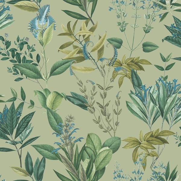 Galerie Wallpaper Product code: BL22741 - Botanica Wallpaper Collection - Green Colours -  