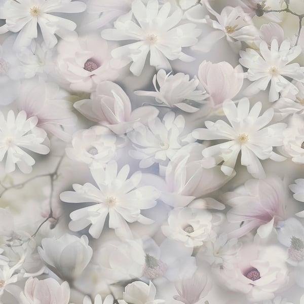 Galerie Wallpaper Product code: BW51031 - Blooming Wild Wallpaper Collection - Grey Green Lilac White Colours -  