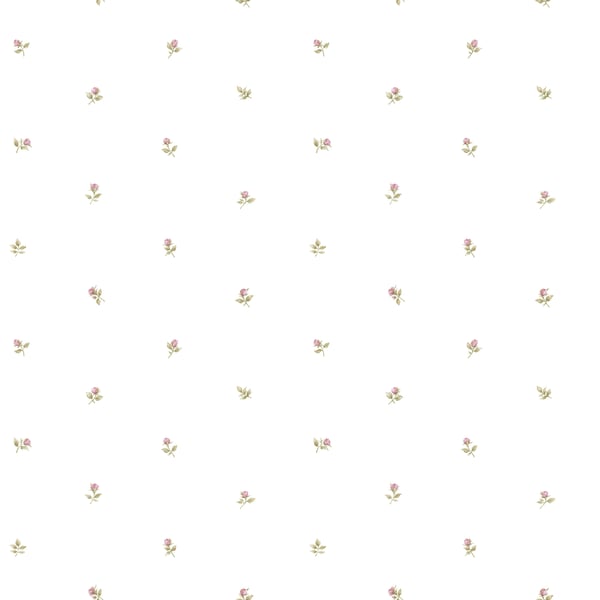 Galerie Wallpaper Product code: CG28872 - Rose Garden Wallpaper Collection -   