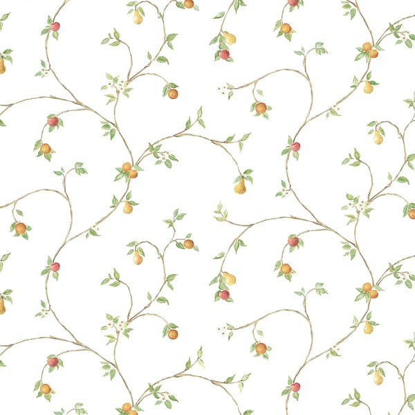 Galerie Wallpaper Product code: CK36607 - Kitchen Style 3 Wallpaper Collection - Orange Red Green White Colours -  