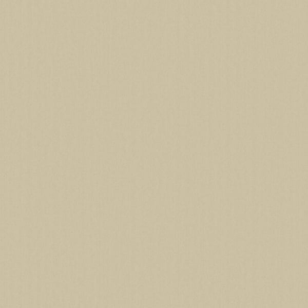 Galerie Wallpaper Product code: DC30103 - Designer Colours Wallpaper Collection - Beige Colours -  