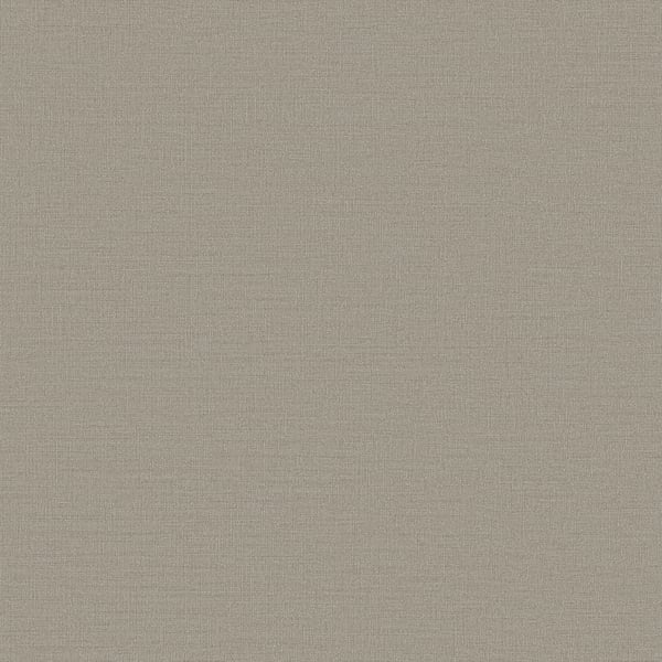 Galerie Wallpaper Product code: DC30204 - Designer Colours Wallpaper Collection - Beige Colours -  