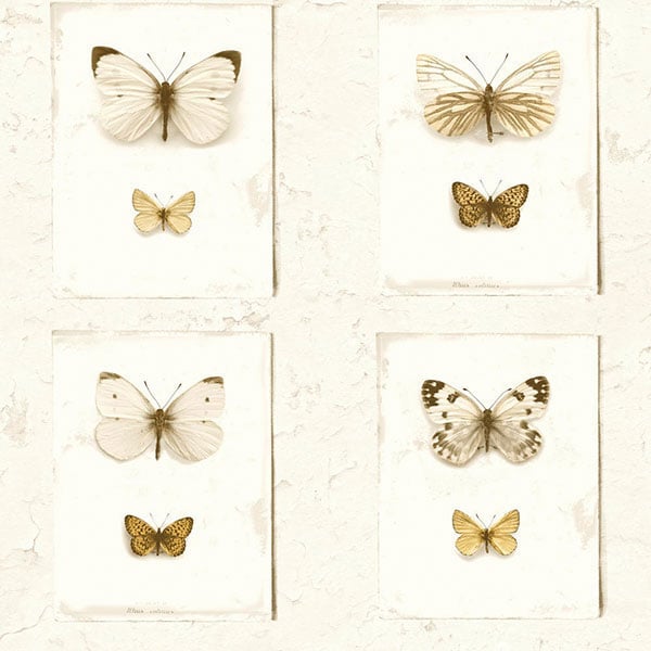Galerie Wallpaper Product code: SD2002 - Splendour Wallpaper Collection -   