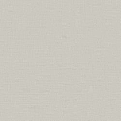 Galerie Wallcoverings Product Code DC30099 - Designer Colours Wallpaper Collection - Beige Colours - Abstract Texture Design