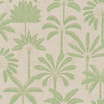 Galerie Wallcoverings Product Code HV41087 - Havana 2 Wallpaper Collection - Beige, Cream, Green Colours -  